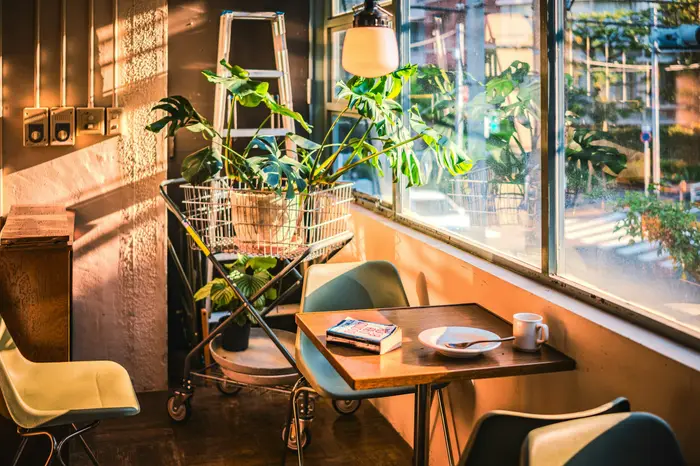 Tables by a sunny window surrounded by plants